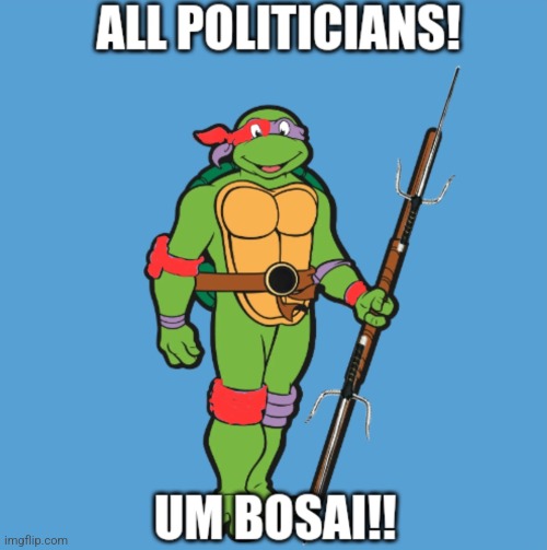 Who doesn't hate lol bosais | image tagged in tmnt,teenage mutant ninja turtles | made w/ Imgflip meme maker