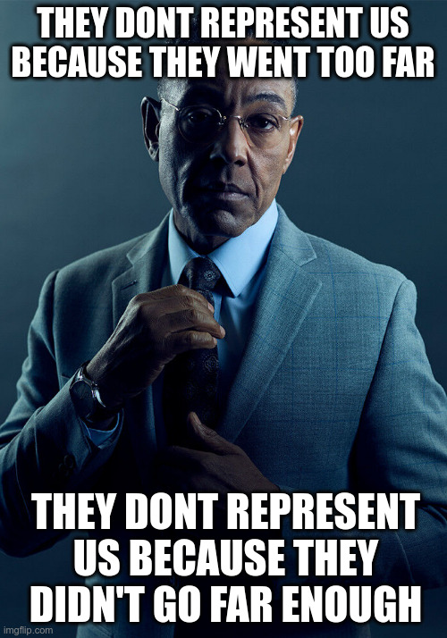 Gus Fring we are not the same | THEY DONT REPRESENT US BECAUSE THEY WENT TOO FAR; THEY DONT REPRESENT US BECAUSE THEY DIDN'T GO FAR ENOUGH | image tagged in gus fring we are not the same | made w/ Imgflip meme maker