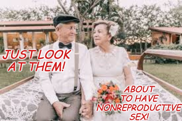 JUST LOOK AT THEM! ABOUT TO HAVE NONREPRODUCTIVE SEX! | made w/ Imgflip meme maker