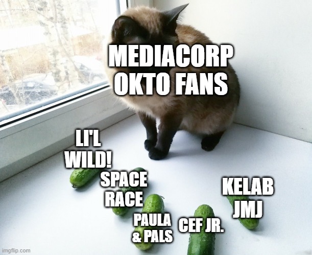 When MediaCorp Okto Fans sees their modern shows of Okto for the first time | MEDIACORP OKTO FANS; LI'L WILD! KELAB JMJ; SPACE RACE; CEF JR. PAULA & PALS | image tagged in cat scared of cucumber | made w/ Imgflip meme maker