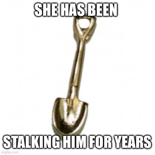 Gold digger | SHE HAS BEEN STALKING HIM FOR YEARS | image tagged in gold digger | made w/ Imgflip meme maker