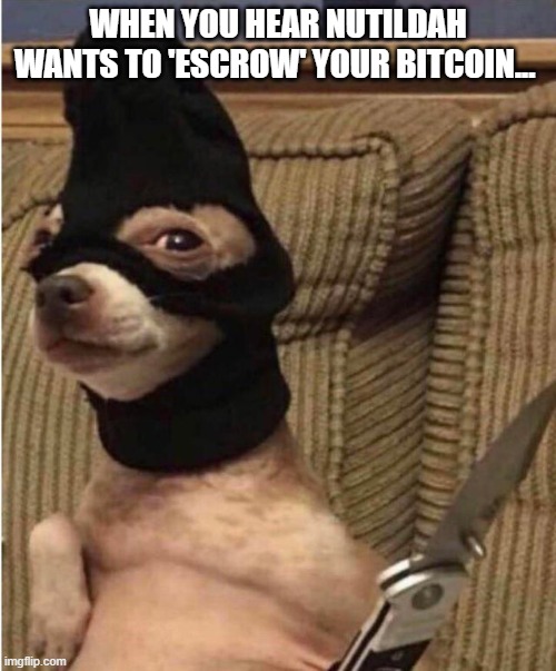 HUAHUA | WHEN YOU HEAR NUTILDAH WANTS TO 'ESCROW' YOUR BITCOIN... | image tagged in nutildah,dogermint,bitcointalk | made w/ Imgflip meme maker