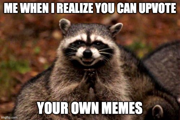 Evil Plotting Raccoon Meme | ME WHEN I REALIZE YOU CAN UPVOTE; YOUR OWN MEMES | image tagged in memes,evil plotting raccoon | made w/ Imgflip meme maker