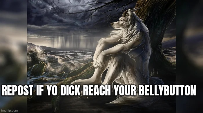 Sigma Wolf | REPOST IF YO DICK REACH YOUR BELLYBUTTON | image tagged in sigma wolf | made w/ Imgflip meme maker