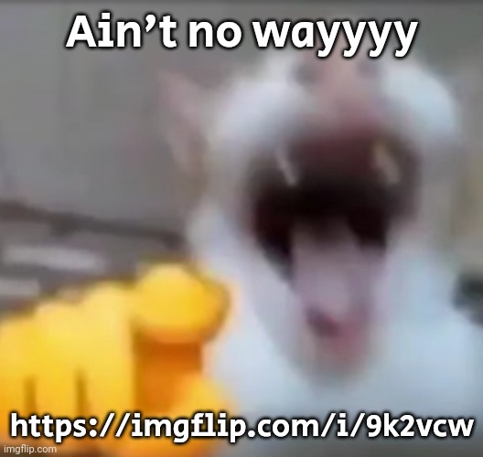 Just see it once | Ain't no wayyyy; https://imgflip.com/i/9k2vcw | image tagged in cat pointing and laughing | made w/ Imgflip meme maker