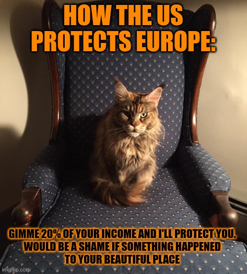 This #lolcat wonders why the Trump administration acts like a mob boss | HOW THE US PROTECTS EUROPE:; GIMME 20% OF YOUR INCOME AND I'LL PROTECT YOU. 
WOULD BE A SHAME IF SOMETHING HAPPENED 
TO YOUR BEAUTIFUL PLACE | image tagged in mafia,donald trump,usa,lolcat | made w/ Imgflip meme maker