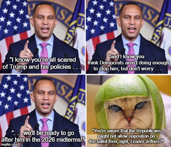 Hakeem Jeffries & the Cat In the Lime Helmet | image tagged in hakeem jeffries,cat in lime helmet,2026 midterms,maga dictatorship | made w/ Imgflip meme maker