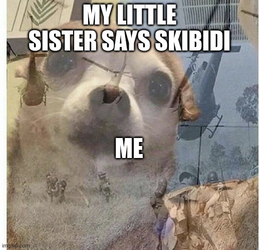 war flashback dog | MY LITTLE SISTER SAYS SKIBIDI; ME | image tagged in war flashback dog | made w/ Imgflip meme maker