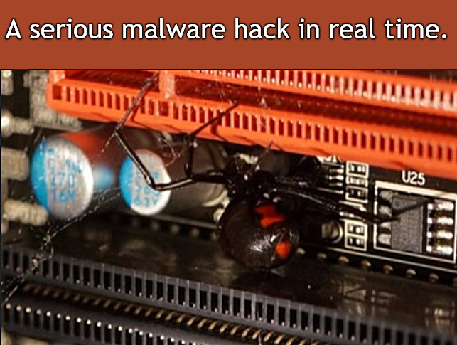 hack in progress | A serious malware hack in real time. | image tagged in memes,fun,spider,black widow | made w/ Imgflip meme maker