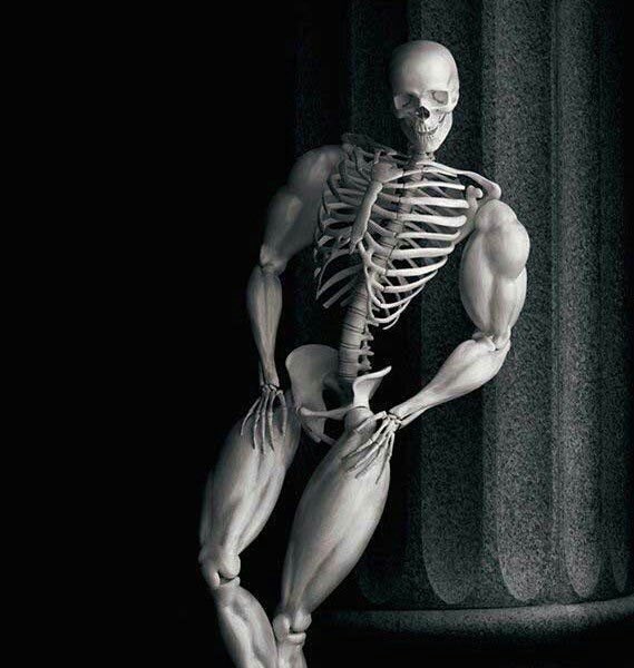 fit skelleton Blank Meme Template