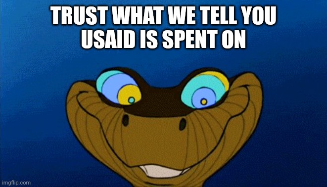 kaa trust me | TRUST WHAT WE TELL YOU
USAID IS SPENT ON | image tagged in kaa trust me | made w/ Imgflip meme maker