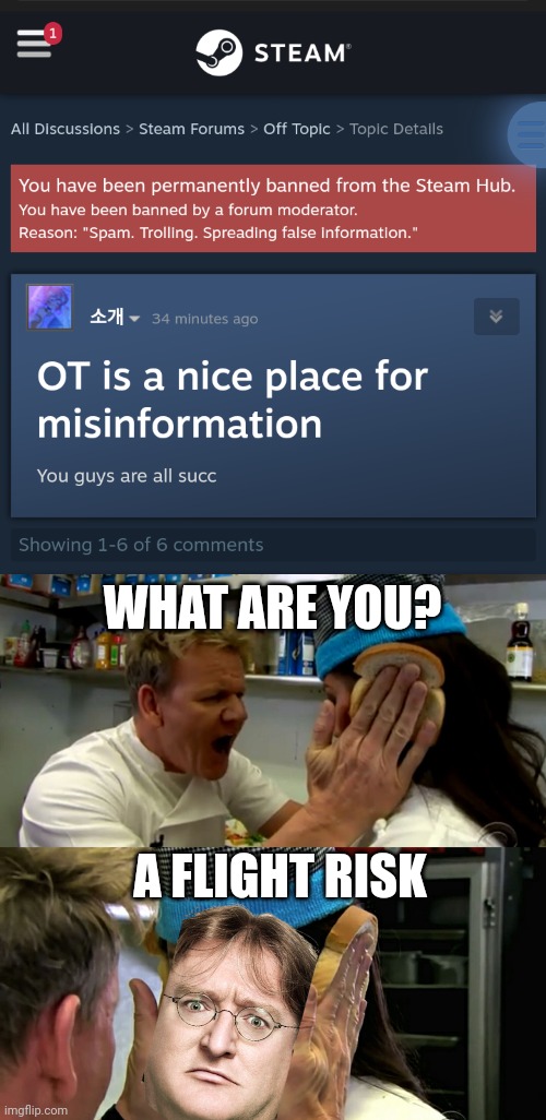 WHAT ARE YOU? A FLIGHT RISK | image tagged in gordon ramsay idiot sandwich | made w/ Imgflip meme maker