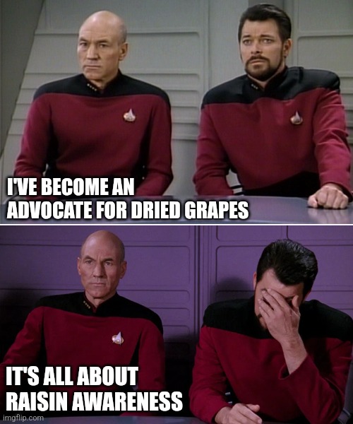 Bleh | I'VE BECOME AN ADVOCATE FOR DRIED GRAPES; IT'S ALL ABOUT RAISIN AWARENESS | image tagged in picard riker listening to a pun | made w/ Imgflip meme maker