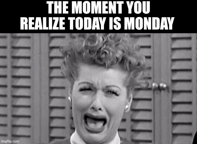 The Moment You Realize Today Is Monday | THE MOMENT YOU REALIZE TODAY IS MONDAY | image tagged in chris joines | made w/ Imgflip meme maker