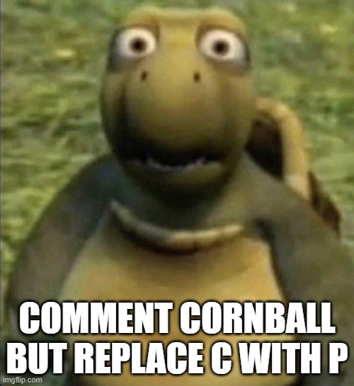 goofy ahh turtle | COMMENT CORNBALL BUT REPLACE C WITH P | image tagged in goofy ahh turtle | made w/ Imgflip meme maker