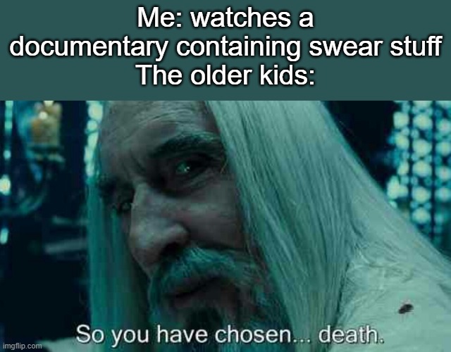 Gotta be extra careful when watching sweary documentaries in the radius of older kids | Me: watches a documentary containing swear stuff
The older kids: | image tagged in so you have chosen death,memes,older kids,swears,funny,relatable | made w/ Imgflip meme maker