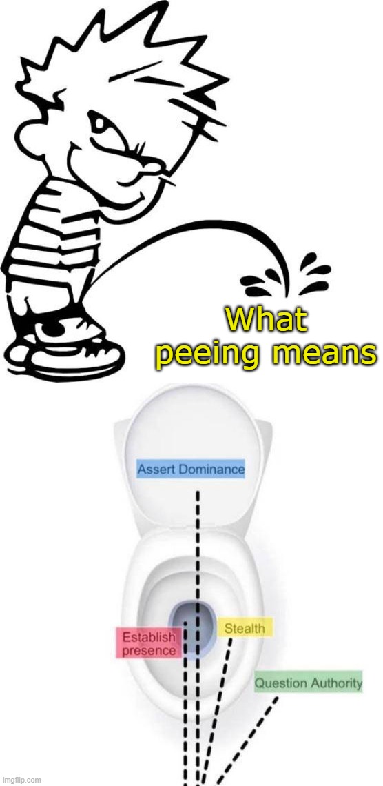 Where you go | What peeing means | image tagged in calvin peeing | made w/ Imgflip meme maker