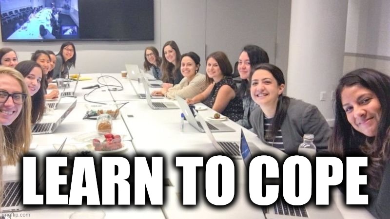 LEARN TO CODE | LEARN TO COPE | image tagged in learn to code | made w/ Imgflip meme maker