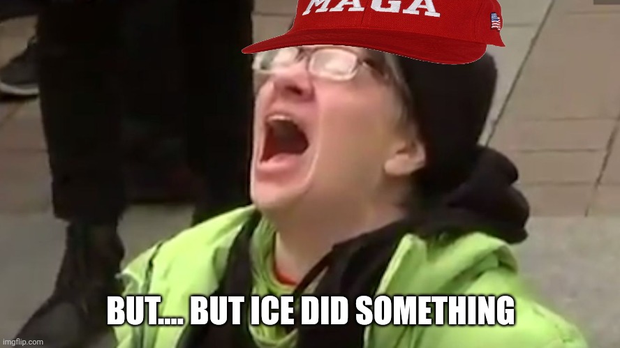 Screaming Liberal  | BUT.... BUT ICE DID SOMETHING | image tagged in screaming liberal | made w/ Imgflip meme maker