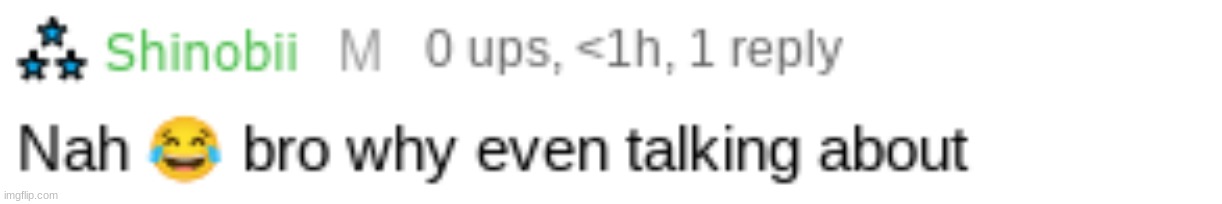 shinobii being an idiot | image tagged in shinobii being an idiot | made w/ Imgflip meme maker