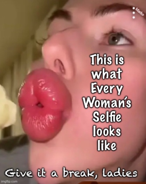 Ladies…..  please | image tagged in memes,fish lips,stop trying to make them look bigger,go with what ya got,be dignified,not clownish | made w/ Imgflip meme maker