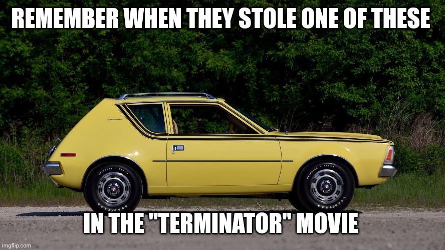 AMC Gremlin | REMEMBER WHEN THEY STOLE ONE OF THESE IN THE "TERMINATOR" MOVIE | image tagged in amc gremlin | made w/ Imgflip meme maker