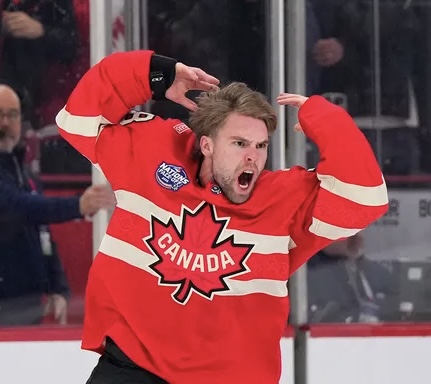 Canadian Hockey Fighter Blank Meme Template