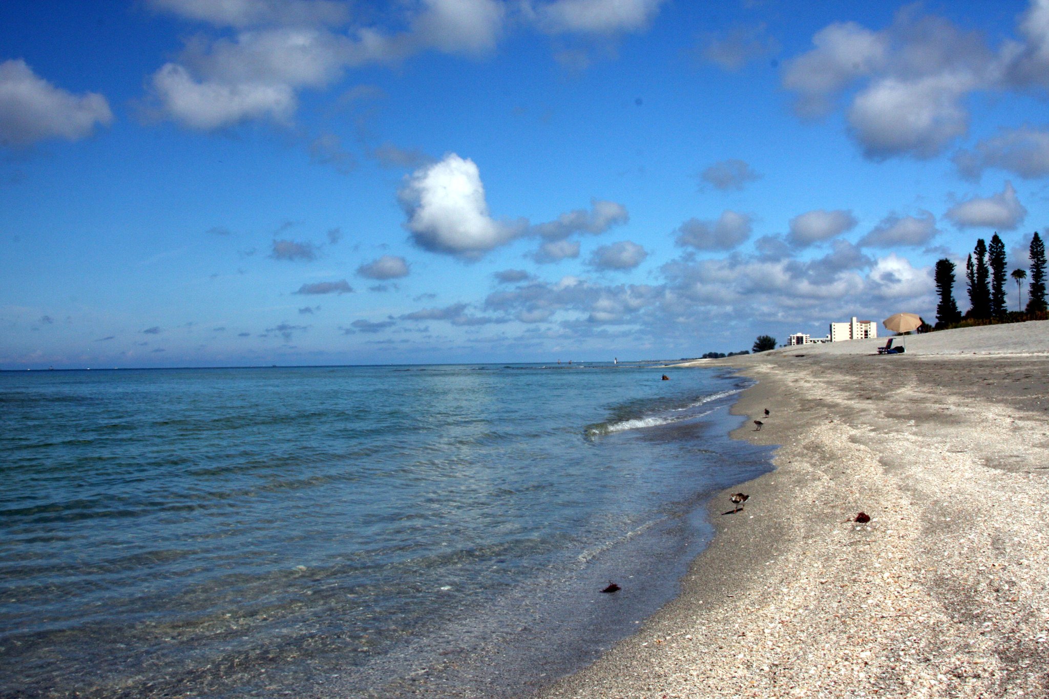 Gulf of Mexico Blank Meme Template
