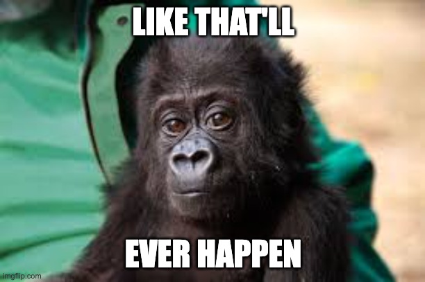 baby condescending monke | LIKE THAT'LL EVER HAPPEN | image tagged in baby condescending monke | made w/ Imgflip meme maker