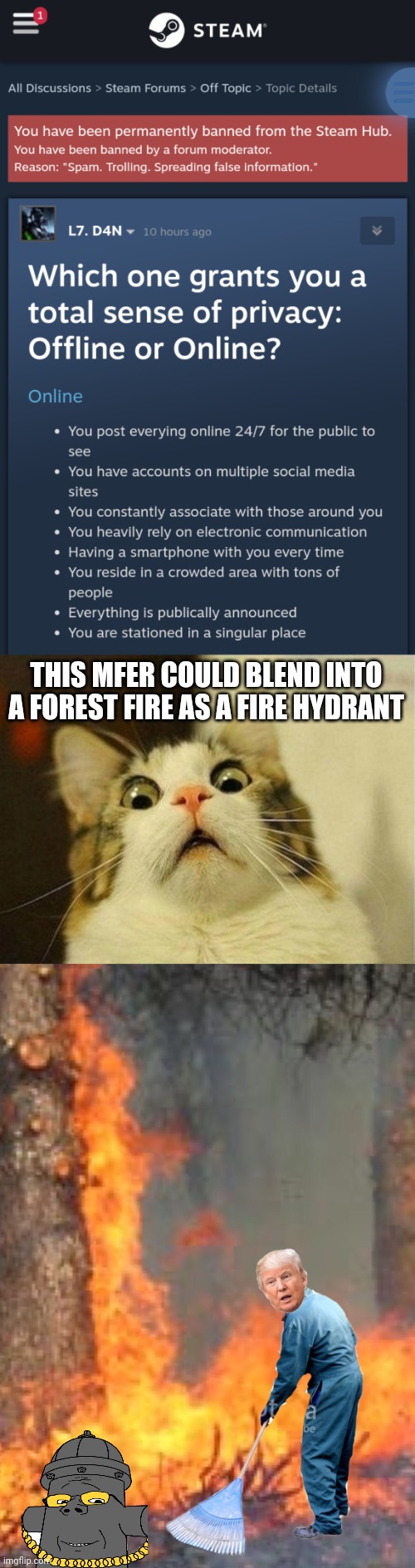 THIS MFER COULD BLEND INTO A FOREST FIRE AS A FIRE HYDRANT | image tagged in memes,scared cat,raking trump | made w/ Imgflip meme maker