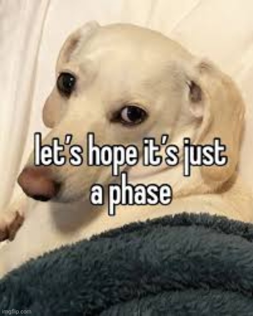 let's hope it's just a phase | image tagged in let's hope it's just a phase | made w/ Imgflip meme maker