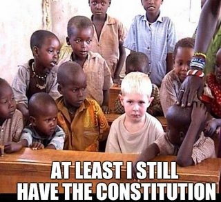 At least I still have the Constitution Blank Meme Template