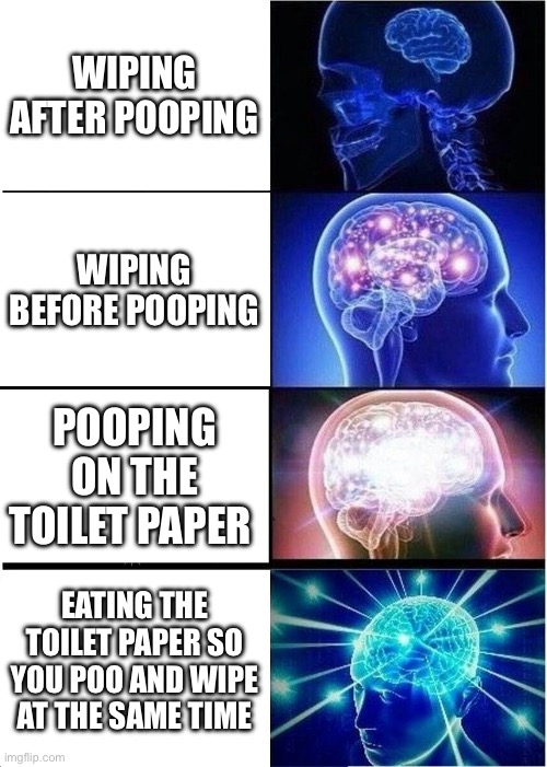 Brainiac mcdoody | WIPING AFTER POOPING; WIPING BEFORE POOPING; POOPING ON THE TOILET PAPER; EATING THE TOILET PAPER SO YOU POO AND WIPE AT THE SAME TIME | image tagged in memes,expanding brain | made w/ Imgflip meme maker