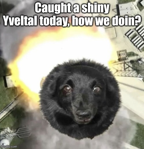 CANNONBALL!!! | Caught a shiny Yveltal today, how we doin? | image tagged in cannonball | made w/ Imgflip meme maker