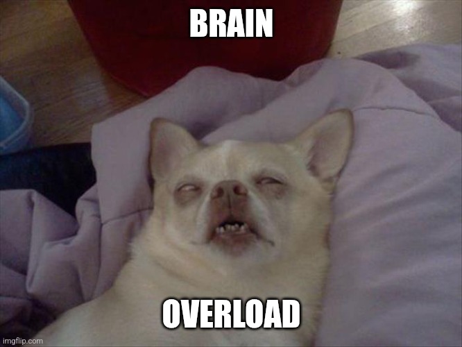 Brain overload | BRAIN OVERLOAD | image tagged in brain overload | made w/ Imgflip meme maker