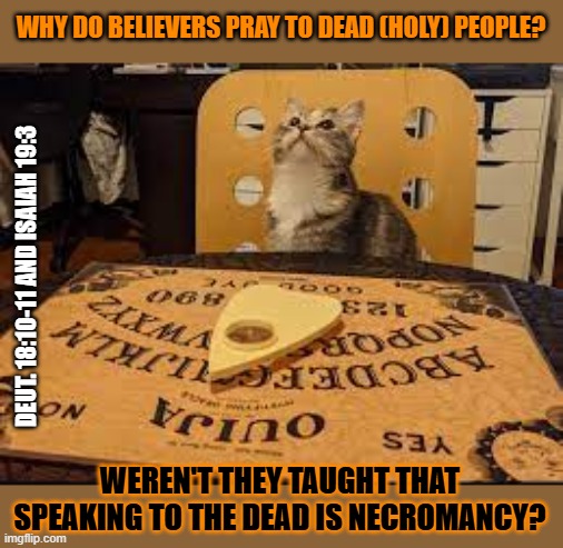 This #lolcat wonders if believers realise that praying to the dead is necromancy and strongly comdemned by the Bible | WHY DO BELIEVERS PRAY TO DEAD (HOLY) PEOPLE? DEUT. 18:10-11 AND ISAIAH 19:3; WEREN'T THEY TAUGHT THAT
SPEAKING TO THE DEAD IS NECROMANCY? | image tagged in bible,necromancy,saints,lolcat,christianity | made w/ Imgflip meme maker