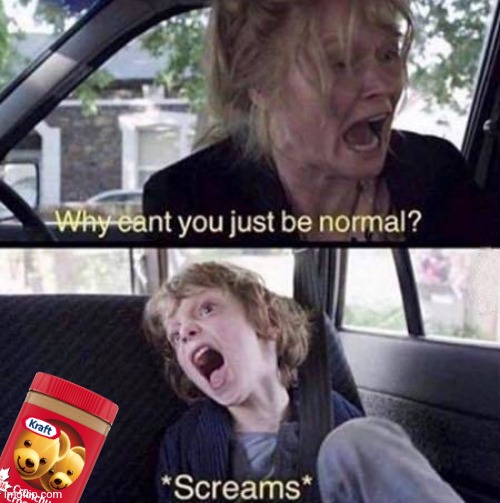 Why Can't You Just Be Normal | image tagged in why can't you just be normal | made w/ Imgflip meme maker