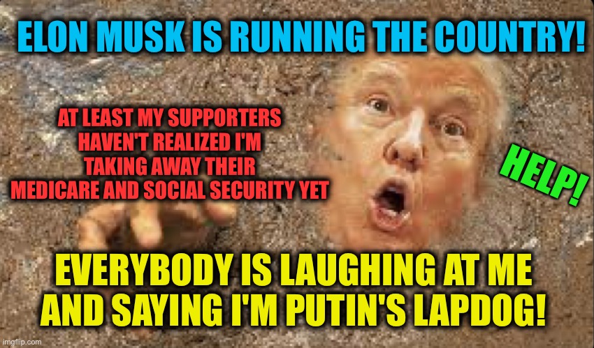 Trump in quicksand | ELON MUSK IS RUNNING THE COUNTRY! AT LEAST MY SUPPORTERS HAVEN'T REALIZED I'M TAKING AWAY THEIR MEDICARE AND SOCIAL SECURITY YET; HELP! EVERYBODY IS LAUGHING AT ME AND SAYING I'M PUTIN'S LAPDOG! | image tagged in trump in quicksand | made w/ Imgflip meme maker