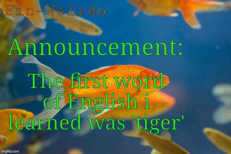 Fin-werido announcement temp | The first word of English i learned was 'tiger' | image tagged in fin-werido announcement temp | made w/ Imgflip meme maker