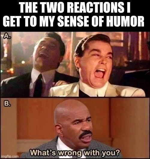 The Two Reactions I Get To My Sense Of Humor | THE TWO REACTIONS I GET TO MY SENSE OF HUMOR | image tagged in chris joines | made w/ Imgflip meme maker