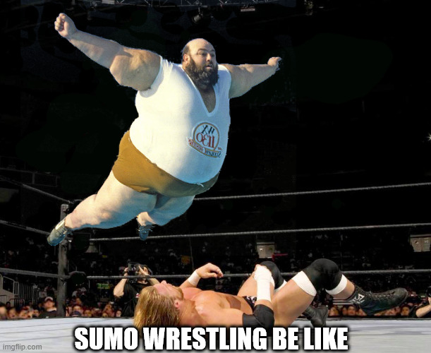 Flyweight wrestling is fun to watch | SUMO WRESTLING BE LIKE | image tagged in off the top rope | made w/ Imgflip meme maker