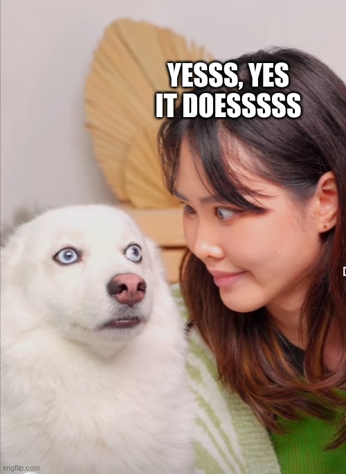 Stare reaction | YESSS, YES IT DOESSSSS | image tagged in stare reaction | made w/ Imgflip meme maker