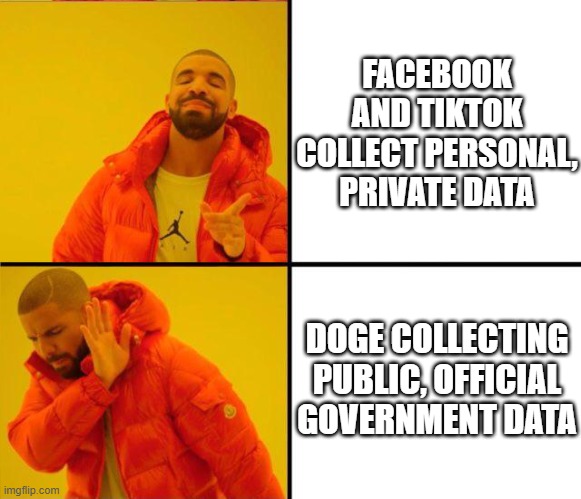 drake yes no reverse | FACEBOOK AND TIKTOK COLLECT PERSONAL, PRIVATE DATA; DOGE COLLECTING PUBLIC, OFFICIAL GOVERNMENT DATA | image tagged in drake yes no reverse | made w/ Imgflip meme maker