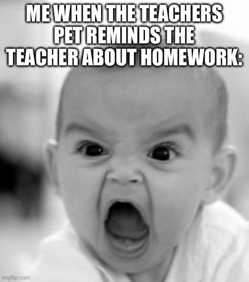 Angry Baby Meme | ME WHEN THE TEACHERS PET REMINDS THE TEACHER ABOUT HOMEWORK: | image tagged in memes,angry baby | made w/ Imgflip meme maker