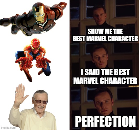 Excelsior! | SHOW ME THE BEST MARVEL CHARACTER; I SAID THE BEST MARVEL CHARACTER; PERFECTION | image tagged in perfection | made w/ Imgflip meme maker