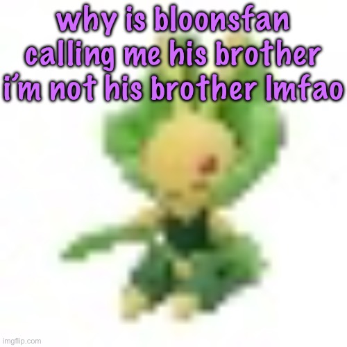 144p Leavanny | why is bloonsfan calling me his brother i’m not his brother lmfao | image tagged in 144p leavanny | made w/ Imgflip meme maker