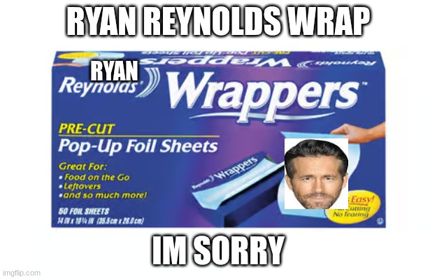 RYAN REYNOLDS WRAP; RYAN; IM SORRY | image tagged in ryan reynolds | made w/ Imgflip meme maker