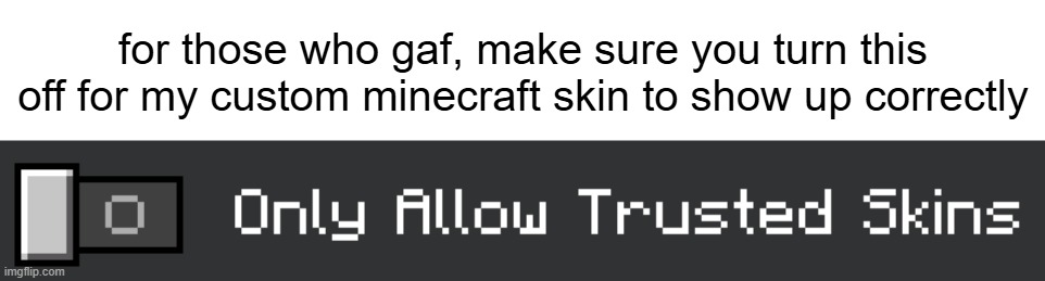 for those who gaf, make sure you turn this off for my custom minecraft skin to show up correctly | made w/ Imgflip meme maker