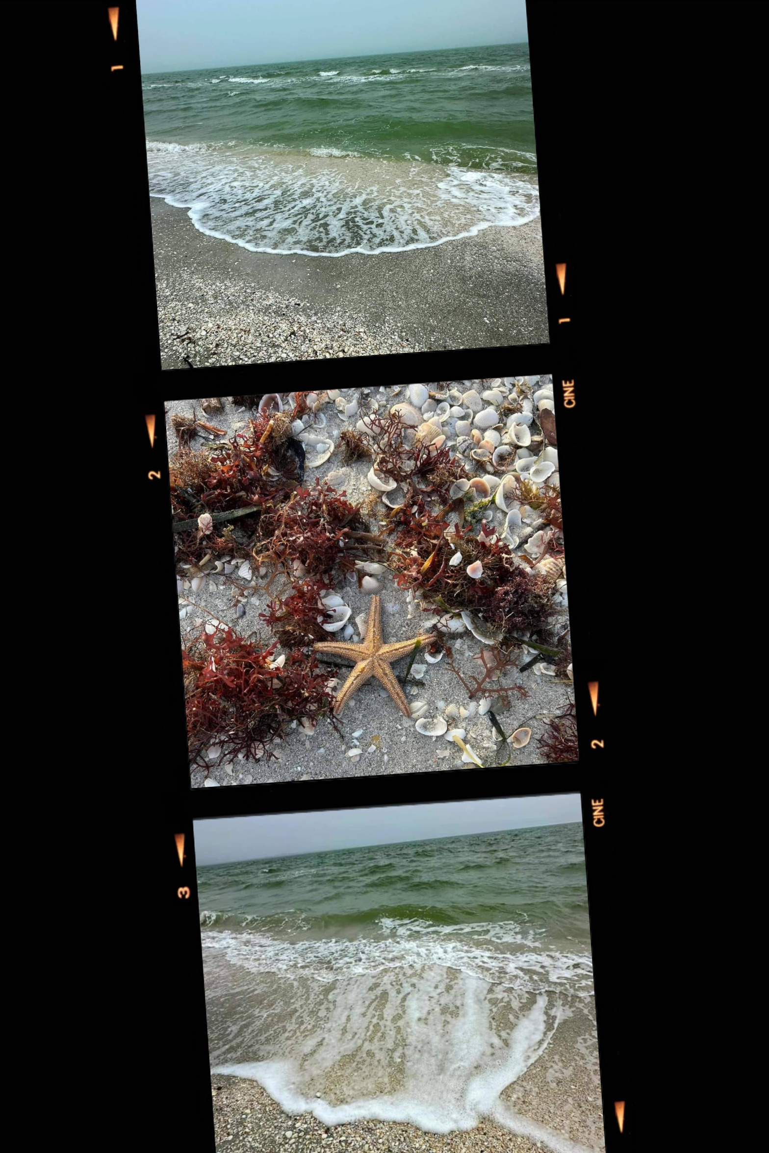 Beach. Blank Meme Template