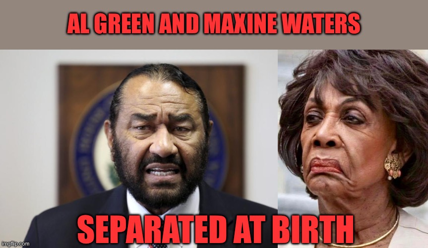 Al Green and Maxine Waters | AL GREEN AND MAXINE WATERS; SEPARATED AT BIRTH | image tagged in al green,maxine waters,separated at birth | made w/ Imgflip meme maker